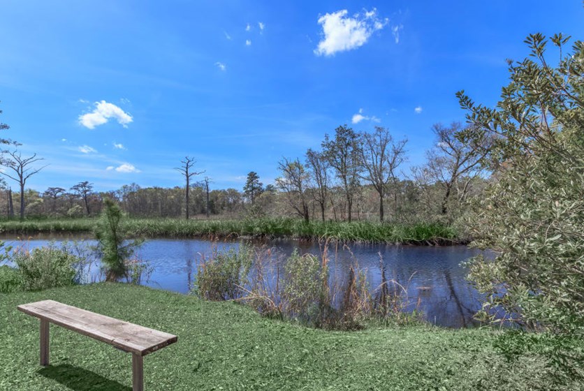 Canopy Creek Apartments in Jacksonville, FL Rent Jax